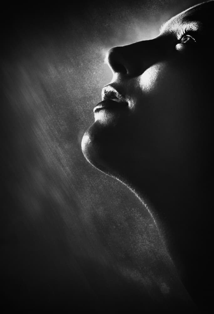 Thoughtful Gaze In Light by Toni Fidanza — canvas wall art