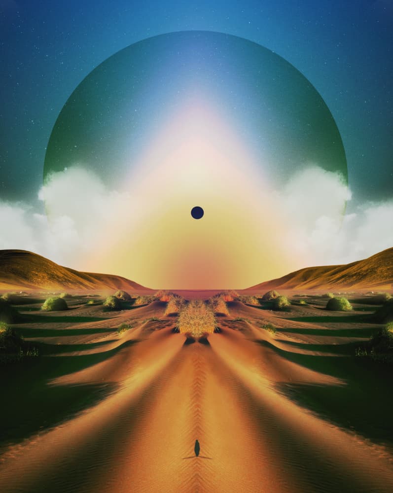Solitary Desert Journey by Fran Rodríguez — canvas wall art