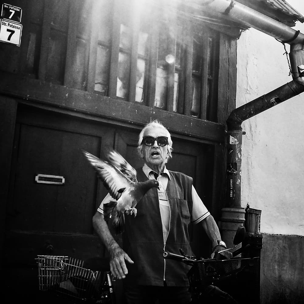 Old Man Flying Pigeon by Mirela Momanu — canvas wall art