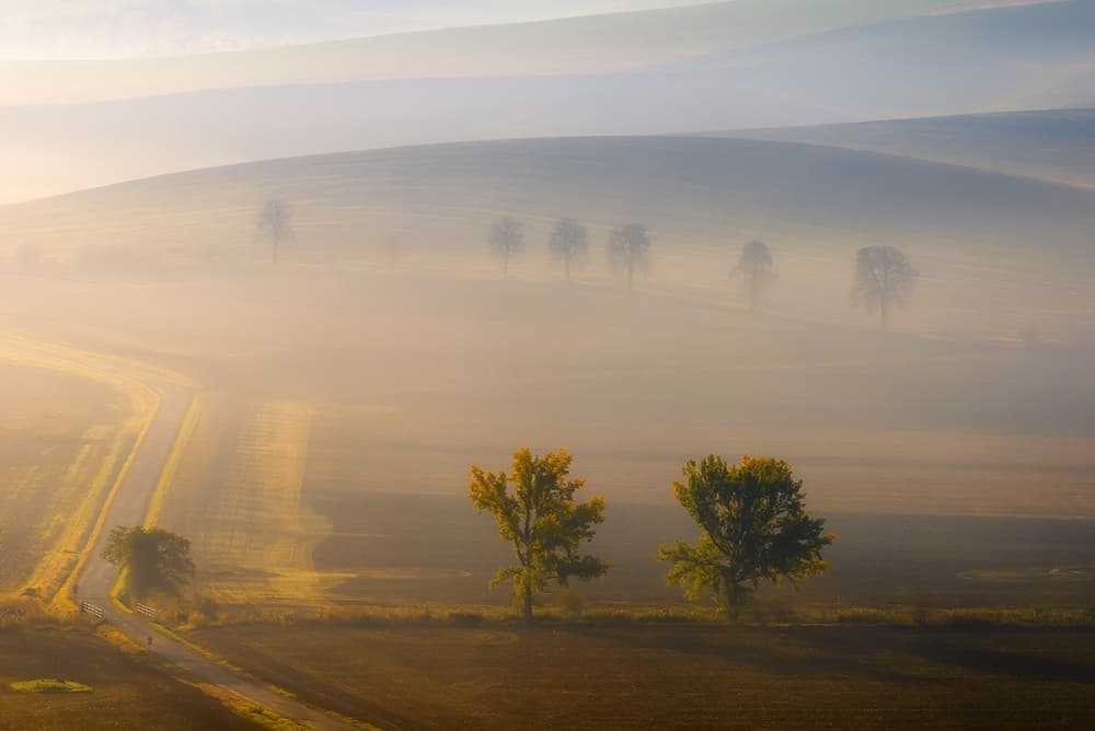 Golden Foggy Morning by Piotr Krol (Bax) — canvas wall art