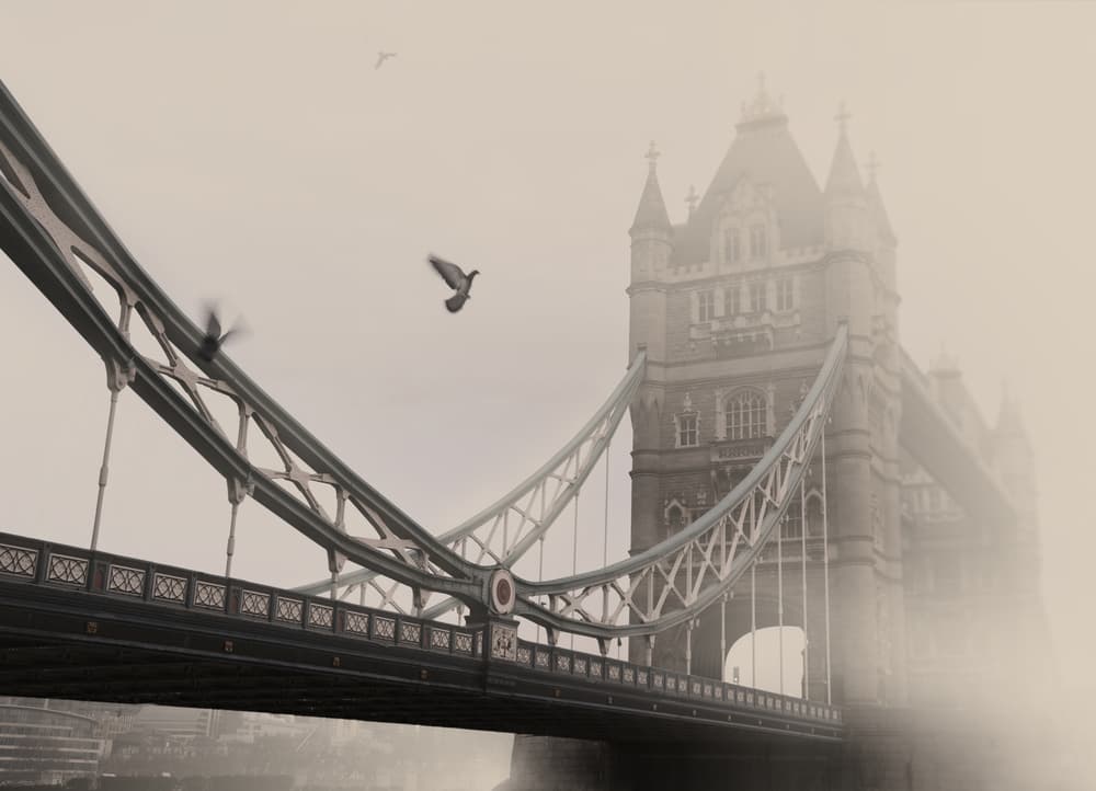 Misty Tower Bridge Birds by Lena Weisbek — canvas wall art
