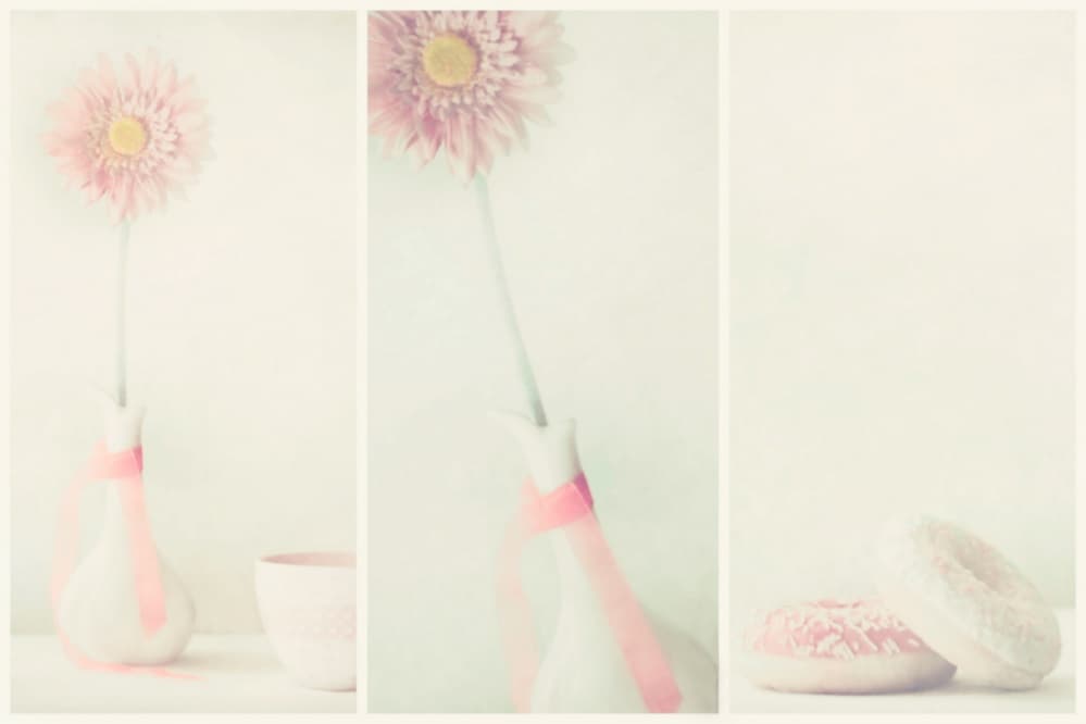 Pink Daisy and Donuts by Delphine Devos — canvas wall art