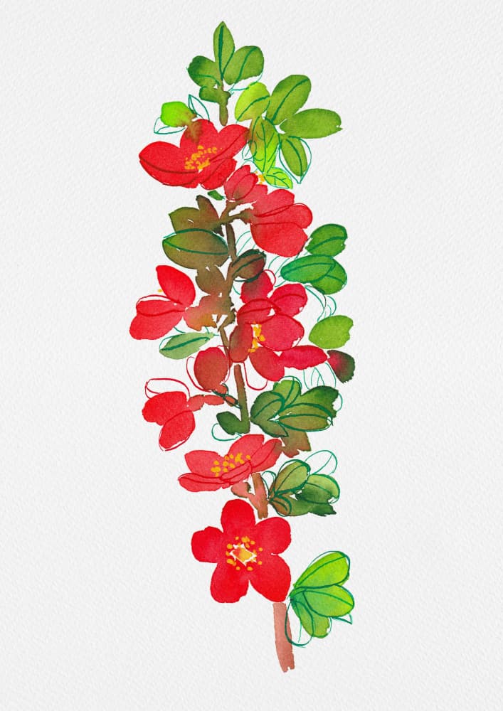 Red Blossoms Green Leaves by Kata Botanical — canvas wall art