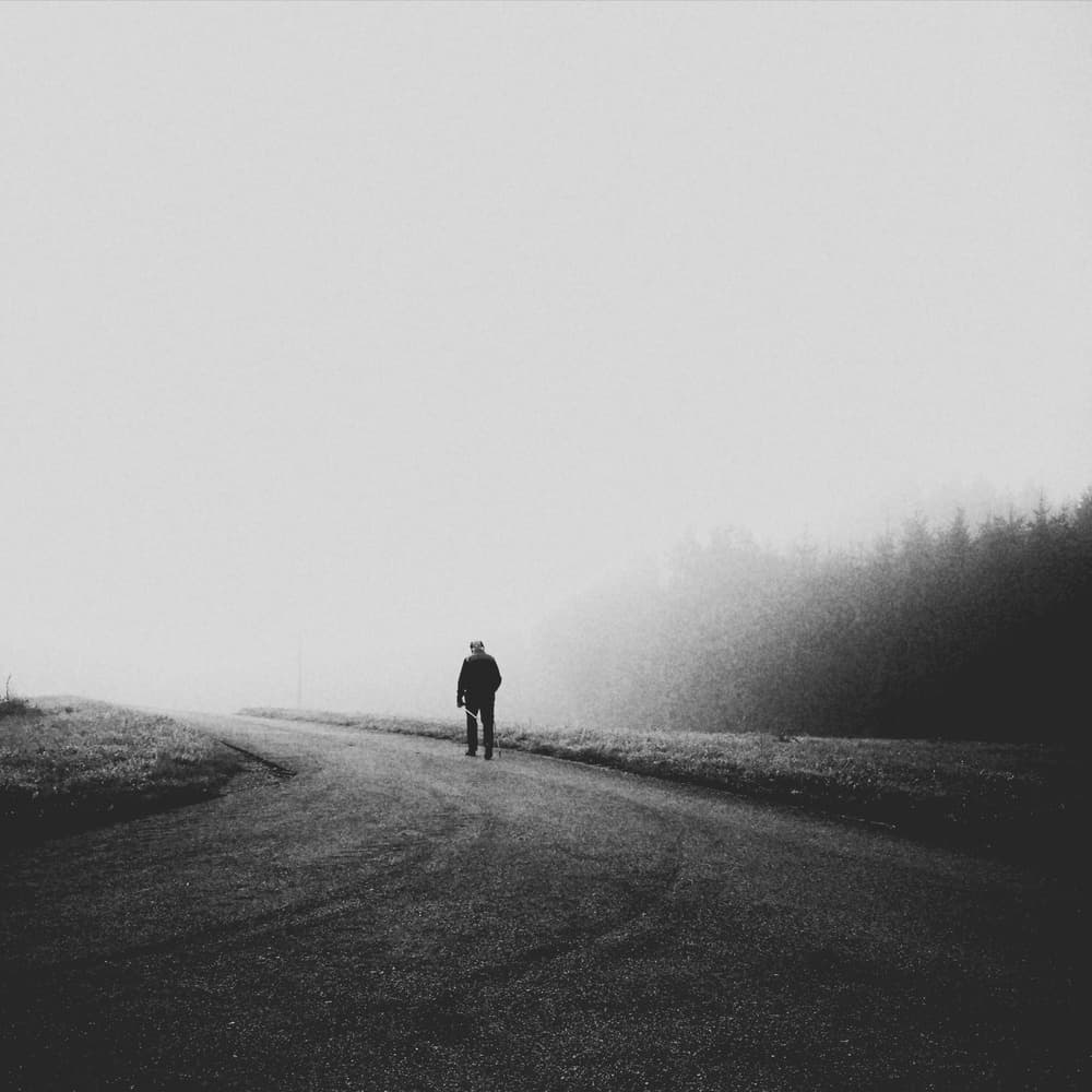 Solitary Walk In Fog by Renate Wasinger — canvas wall art