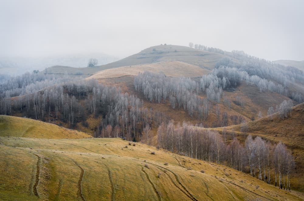 Misty Winter Hills by Eduard Andrica — canvas wall art