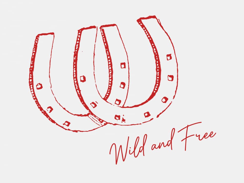 Wild And Free Horseshoes by Jolly and Dash — canvas wall art