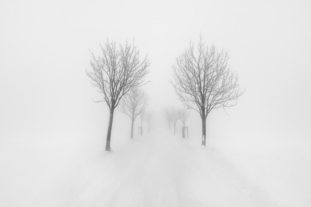 Misty Winter Path by Martin Morávek — canvas wall art