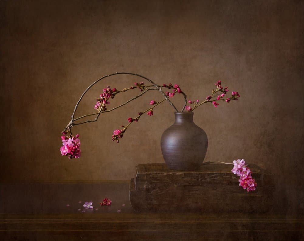 Cherry Blossom Still Life by Joanna W — canvas wall art