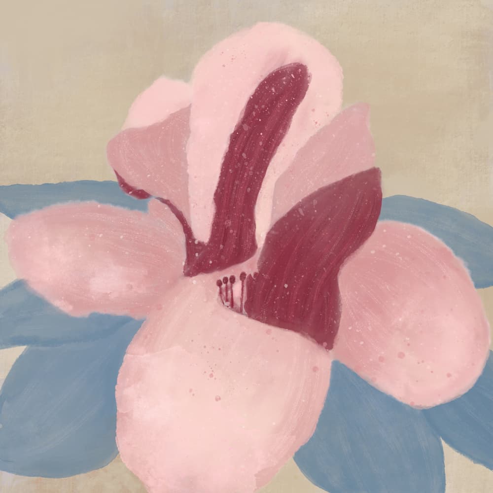 Soft Pink Bloom by Aliya Putrus — canvas wall art