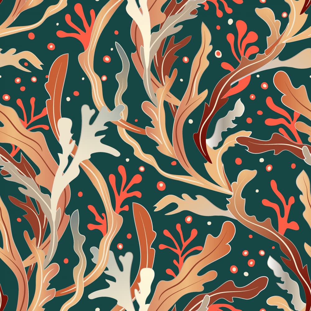 Vibrant Marine Flora by Elena Dorosh — canvas wall art