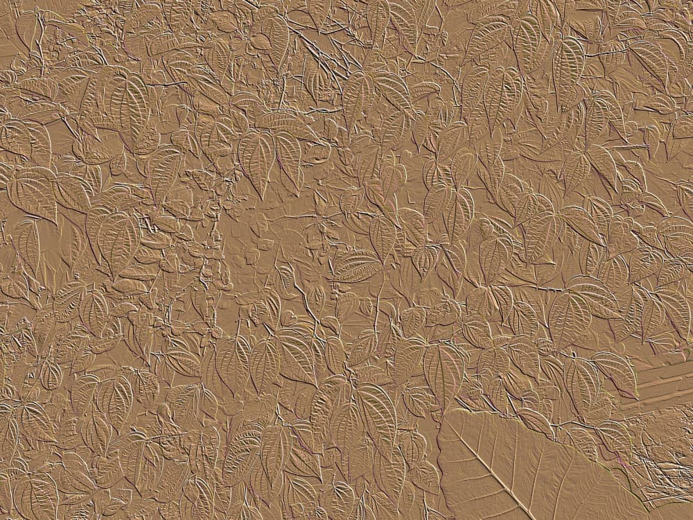 Embossed Leaf Pattern by Santhosh ch — canvas wall art