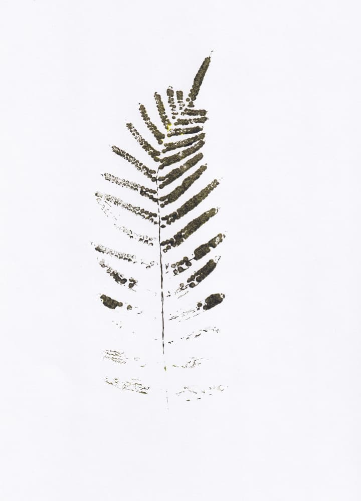 Minimalist Fern Leaf Print by Maira Ribena — canvas wall art