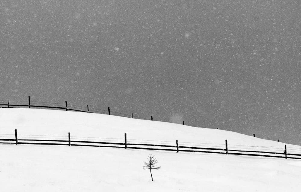Snowy Hill Solitude by Marina Sveduneac — canvas wall art