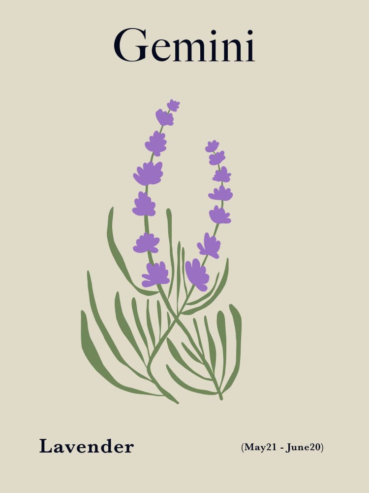 Gemini Birth Flower by Miho Art Studio — canvas wall art