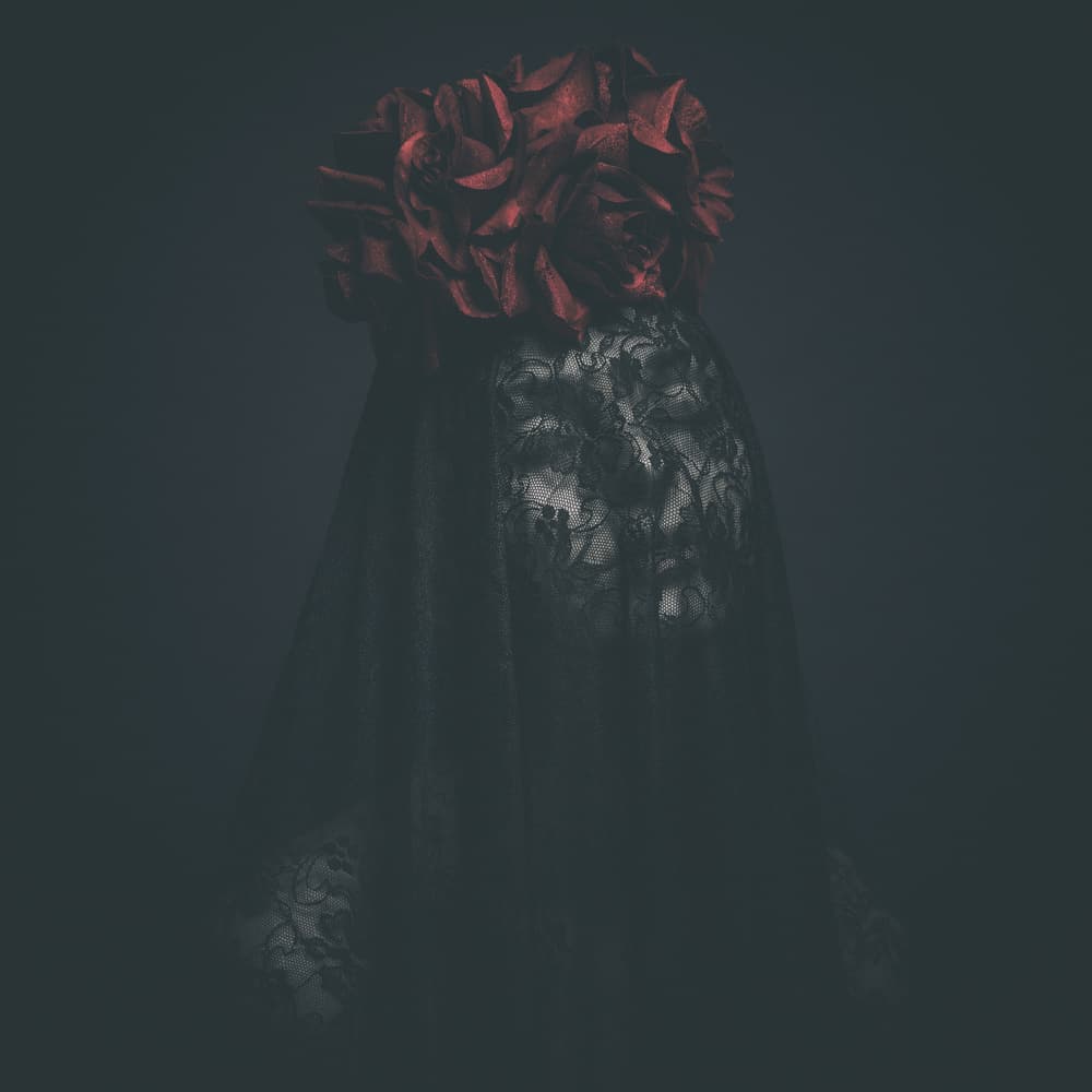 Dark Rose Veil by Martina Nemcekova EP — canvas wall art