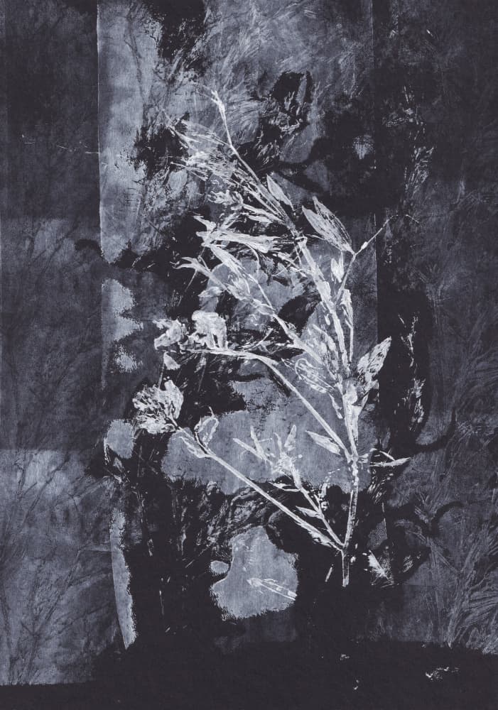 Black  Nature by Maira Ribena — canvas wall art