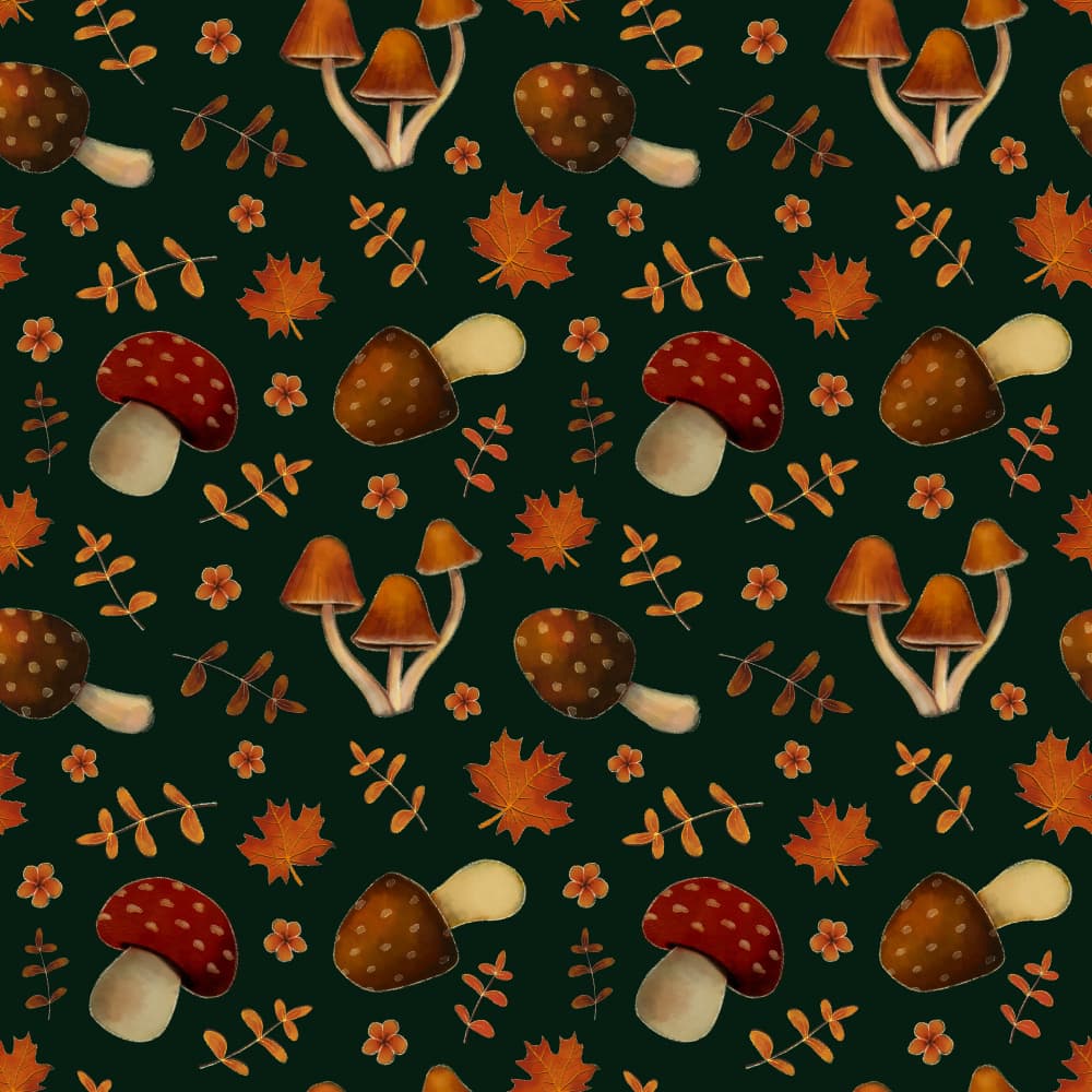 Autumn Forest Fungi by Philippine Bouchez — canvas wall art