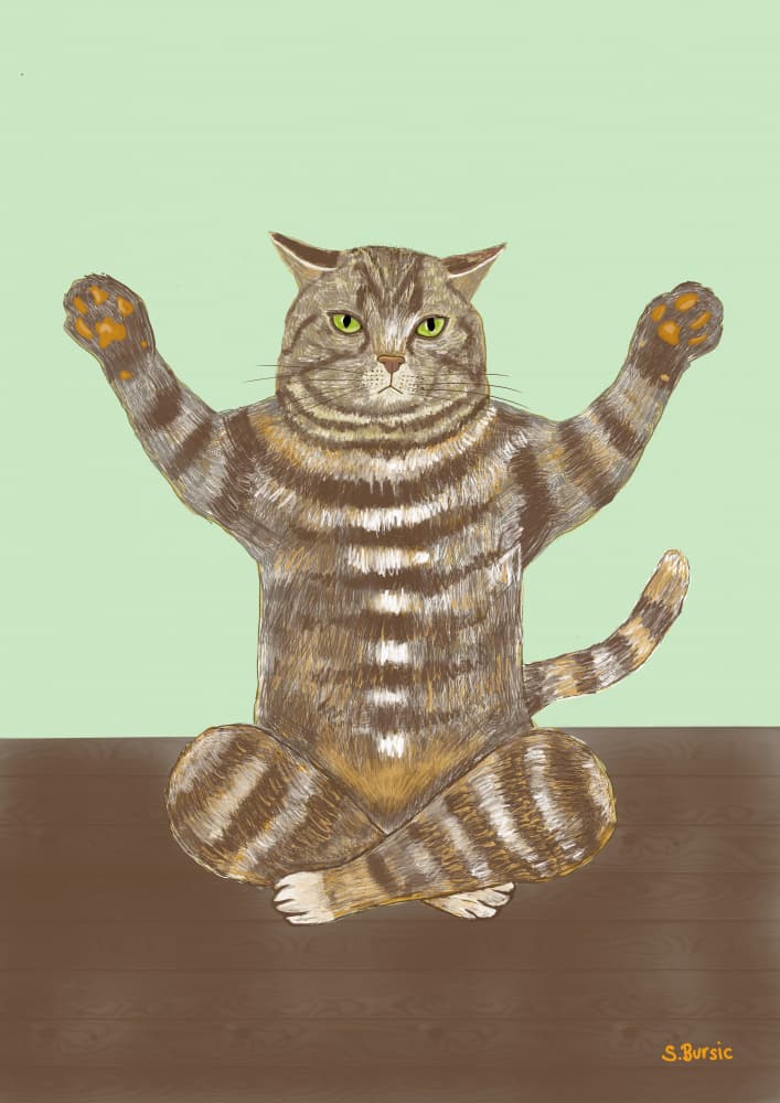 Funny Zen Cat by Sharyn Bursic — canvas wall art