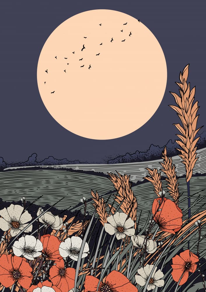 Moonlit Poppy Field by Nicholas — canvas wall art