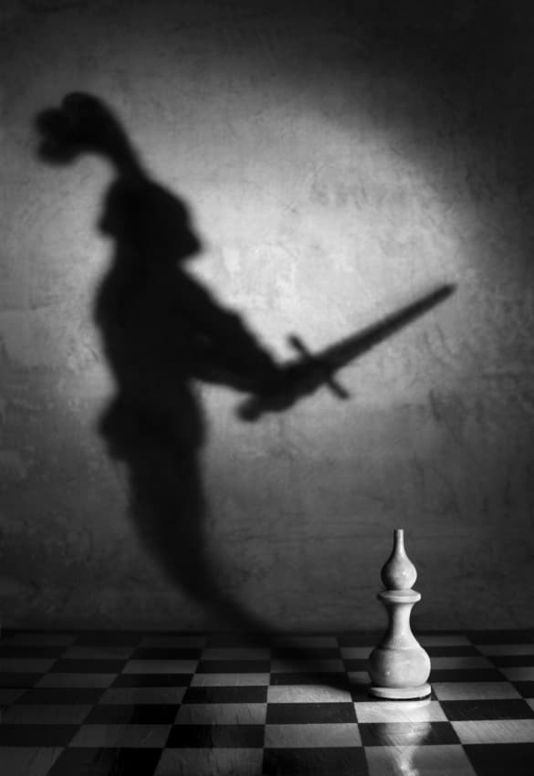 Knight Shadow Chess by Victoria  Glinka — canvas wall art