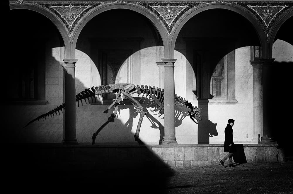 Ancient Skeleton Passage by Claudio Moretti — canvas wall art