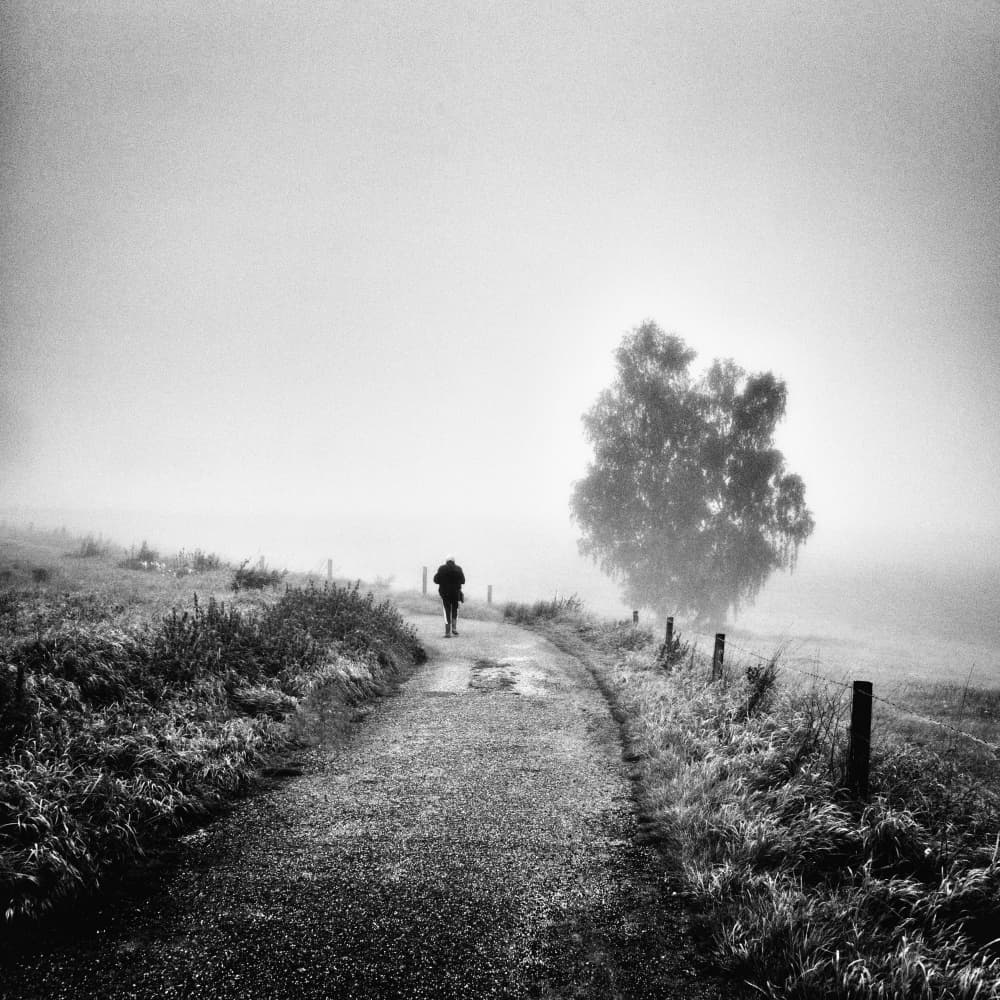 Misty Path Lone Walker by Robert Kuavi — canvas wall art