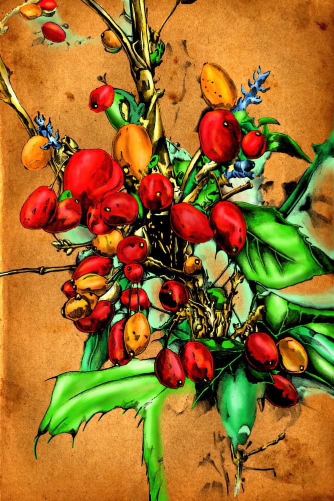 Vibrant Autumn Berries by Rafal Kulik — canvas wall art