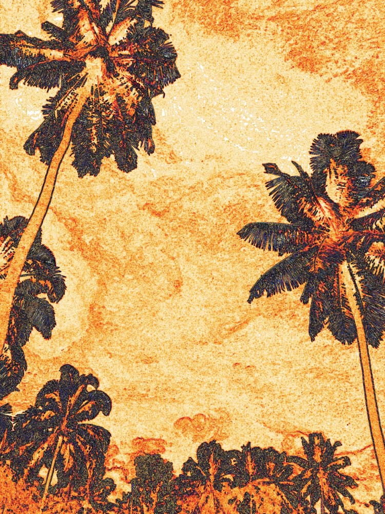 Orange Sunset Palms by Santhosh ch — canvas wall art