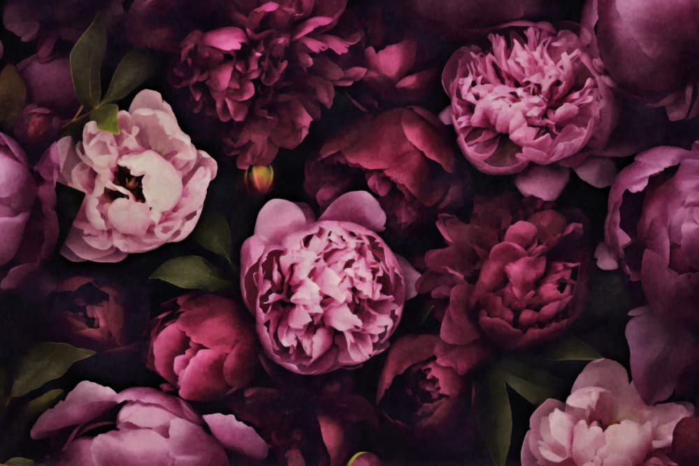 Moody Peony Bouquet by Andrea Haase — canvas wall art