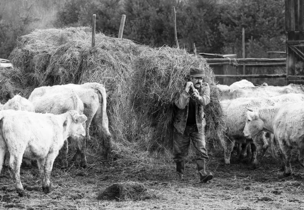 Rustic Farm Life by Marina Sveduneac — canvas wall art