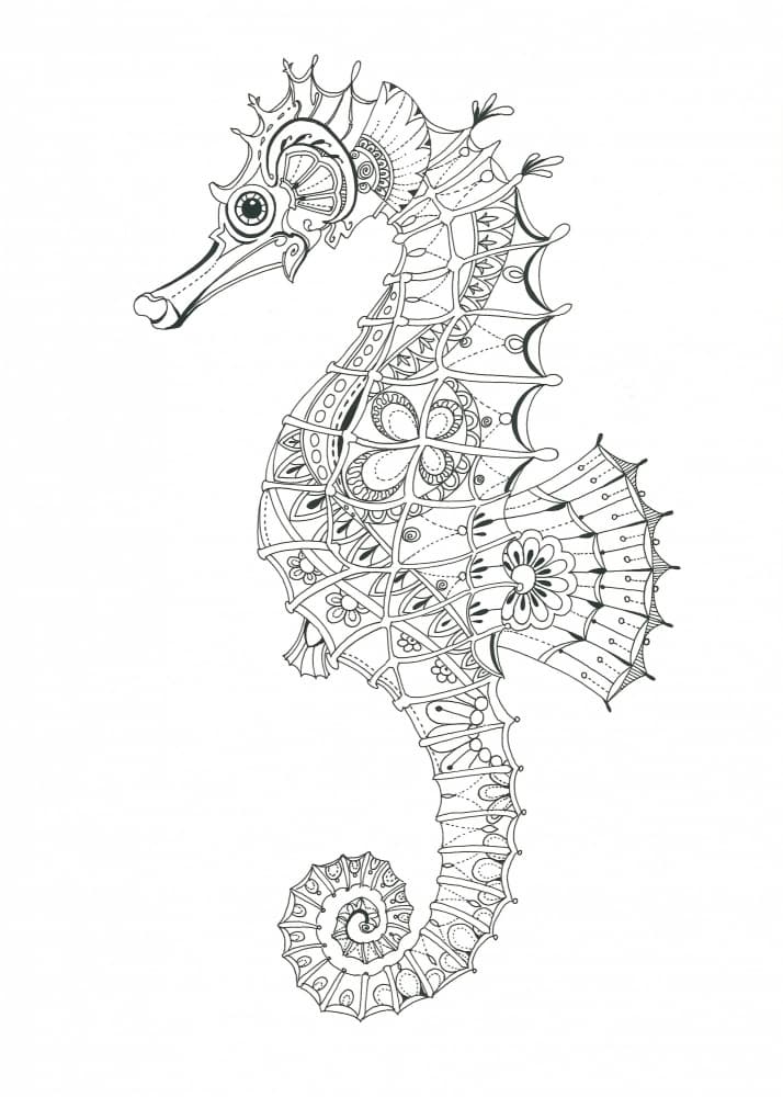 Ornate Seahorse Design by Isabelle Brent — canvas wall art