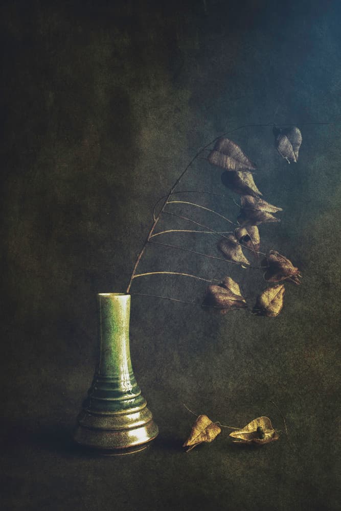 Green Vase Dried Pods by Cicek Kiral — canvas wall art