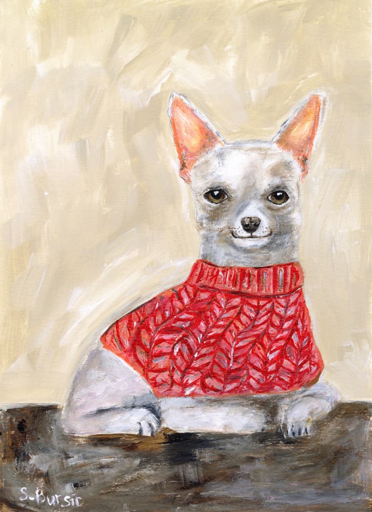 Chihuahua in Red Sweater by Sharyn Bursic — canvas wall art