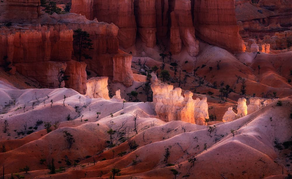 Bryce Canyon Golden Hour by Aidong Ning — canvas wall art