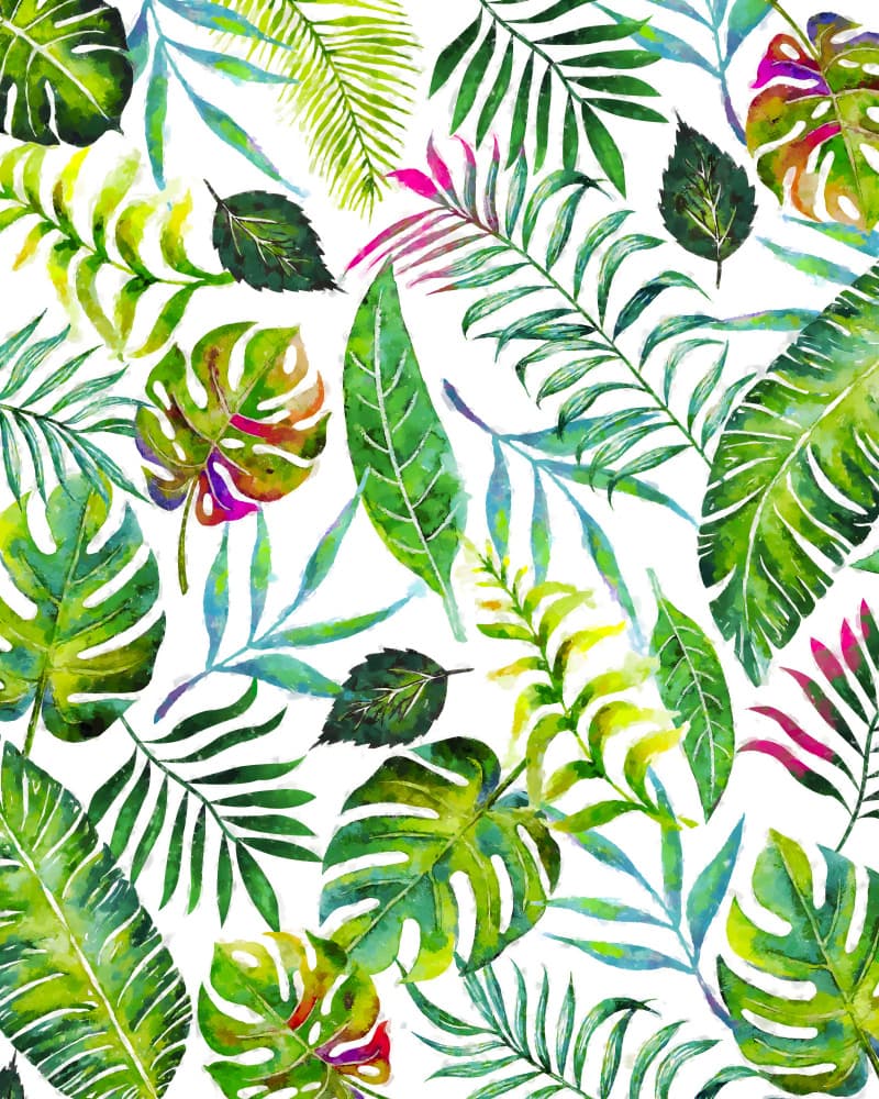 Tropical Flora by Uma Gokhale — canvas wall art