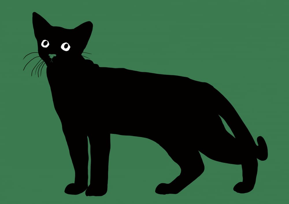 Mysterious Black Cat by Sharyn Bursic — canvas wall art