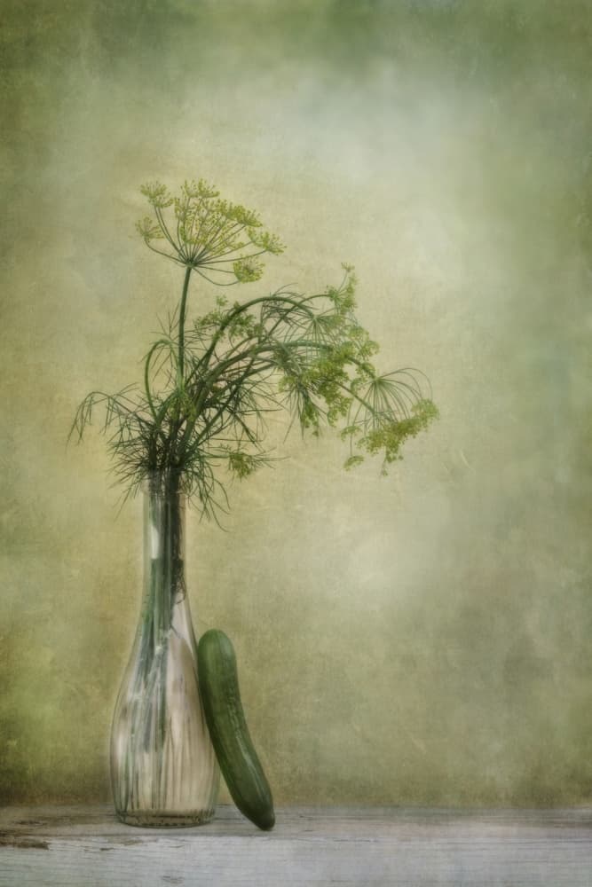 Fresh Dill Still Life by Priska Wettstein — canvas wall art