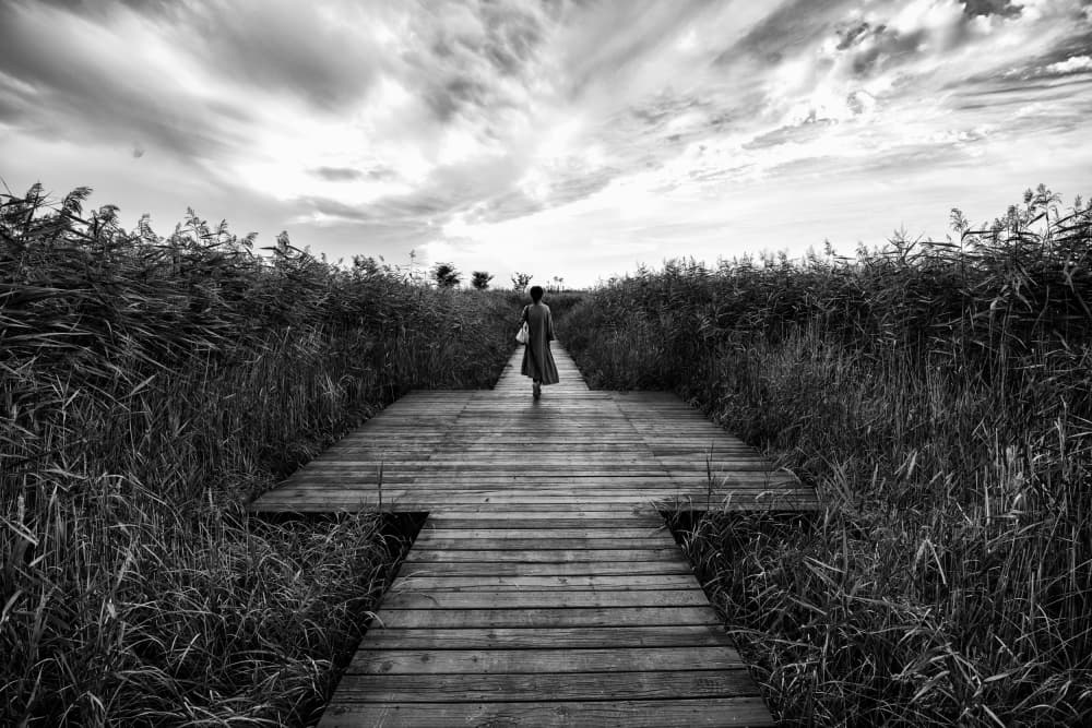 Solitary Journey Boardwalk by Mi Young Choi — canvas wall art