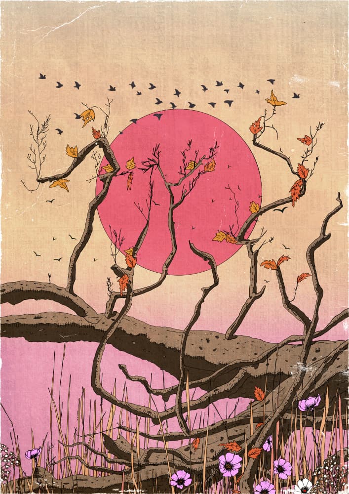 Pink Sky Autumn Serenity by Nicholas — canvas wall art