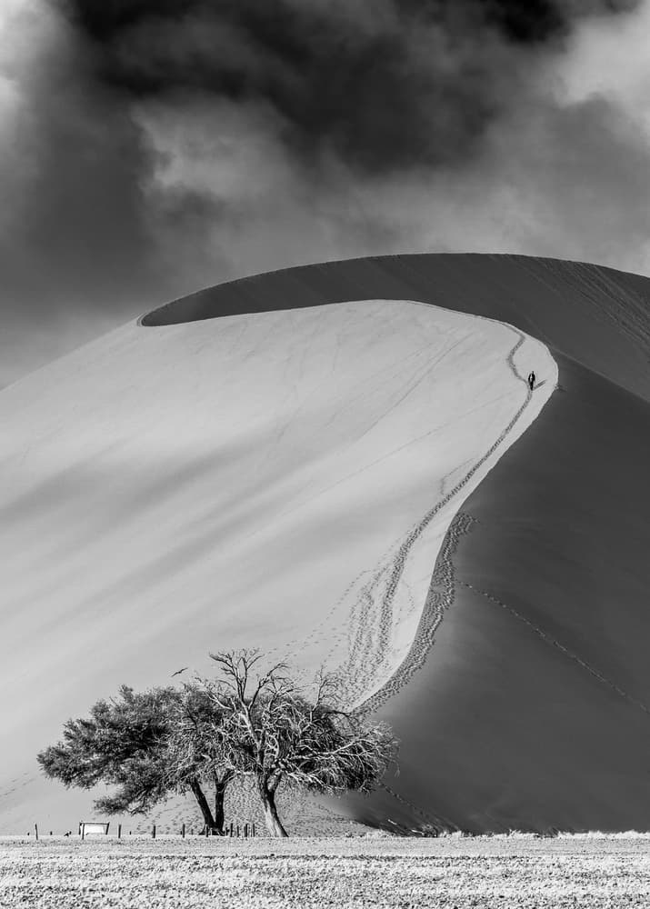 Dramatic Dune Ascent by Marco Tagliarino — canvas wall art