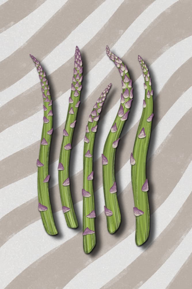 Fresh Green Asparagus by EMELIEmaria — canvas wall art