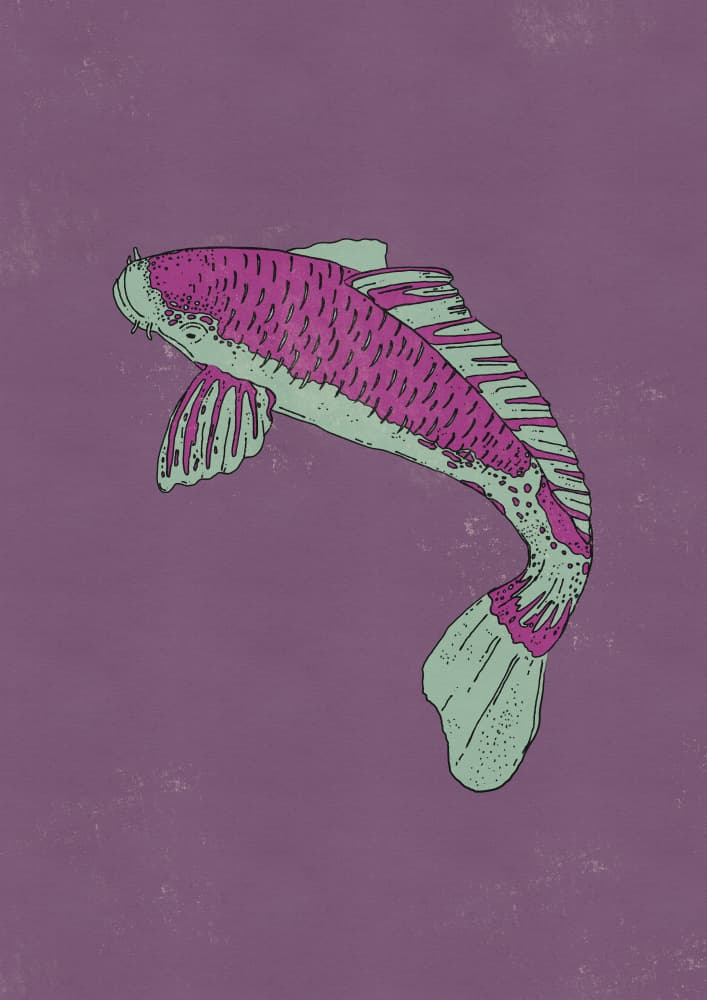 Vibrant Purple Koi by Nicholas — canvas wall art