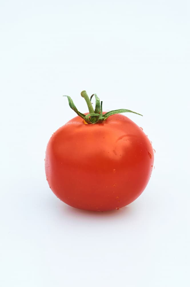 Fresh Red Tomato by Geertjan Plooijer — canvas wall art