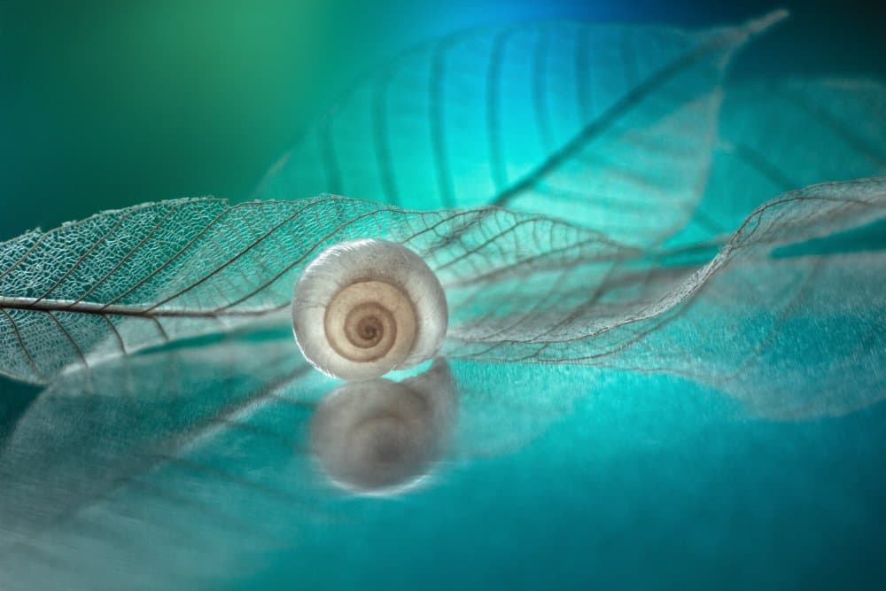 Delicate Aqua Spiral by Shihya Kowatari — canvas wall art