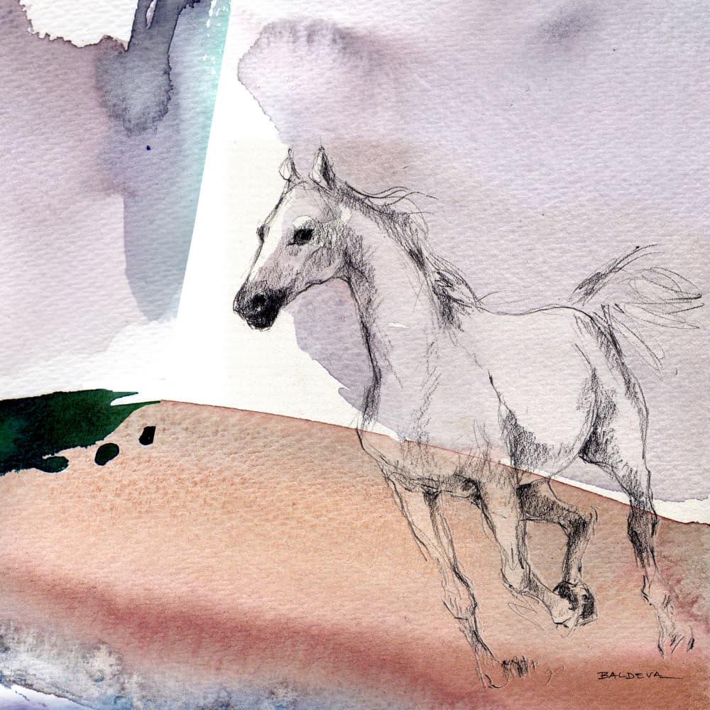 Galloping White Horse