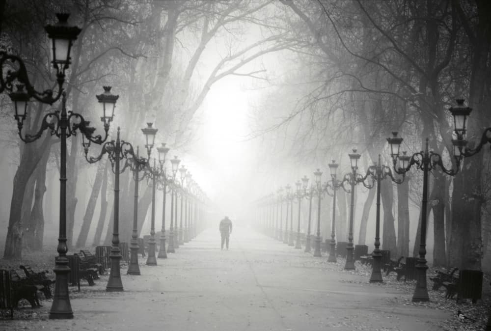 Mysterious Foggy Path by Cristian Andreescu — canvas wall art
