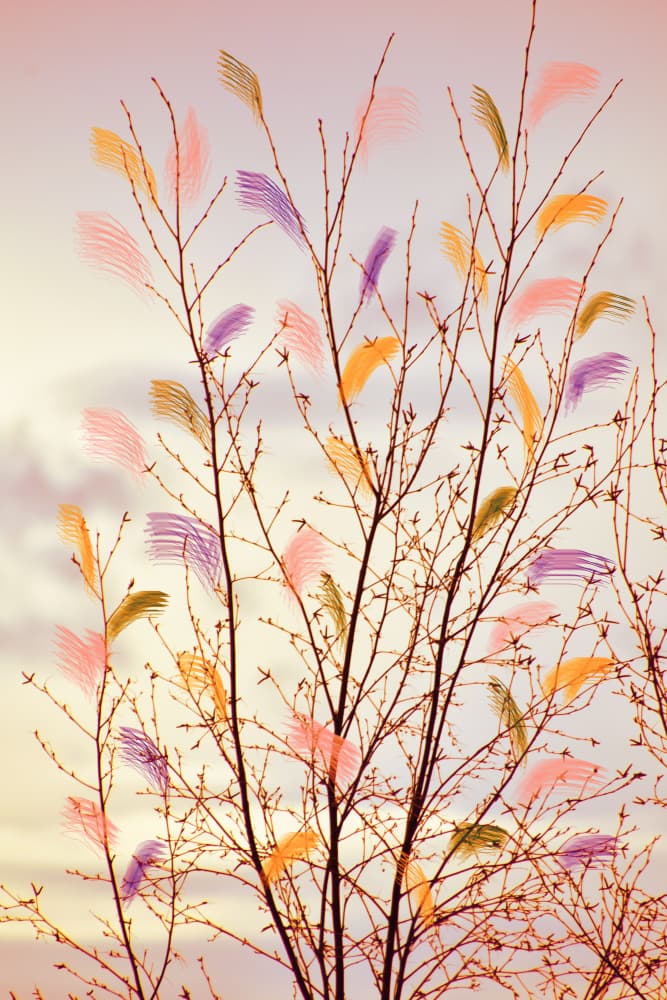 Whimsical Spring Branches by Christina Sillen — canvas wall art
