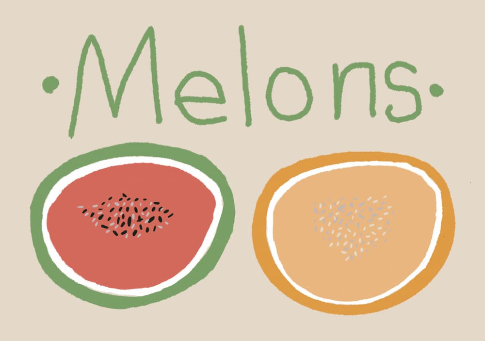 Sweet Melon Slices by Sharyn Bursic — canvas wall art