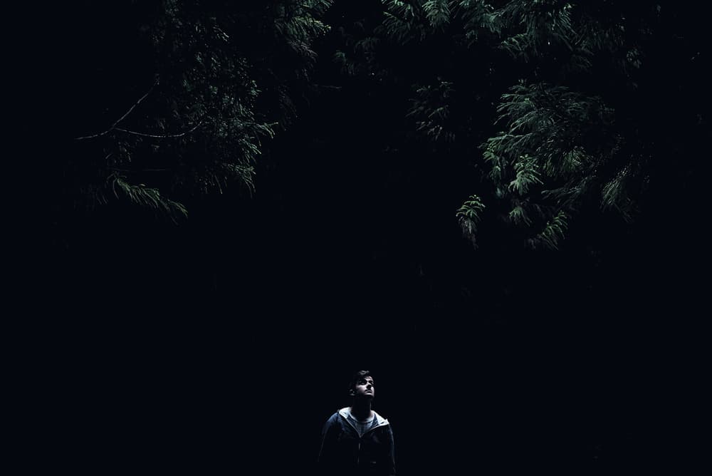 Man In Dark Woods by Rui Caria — canvas wall art