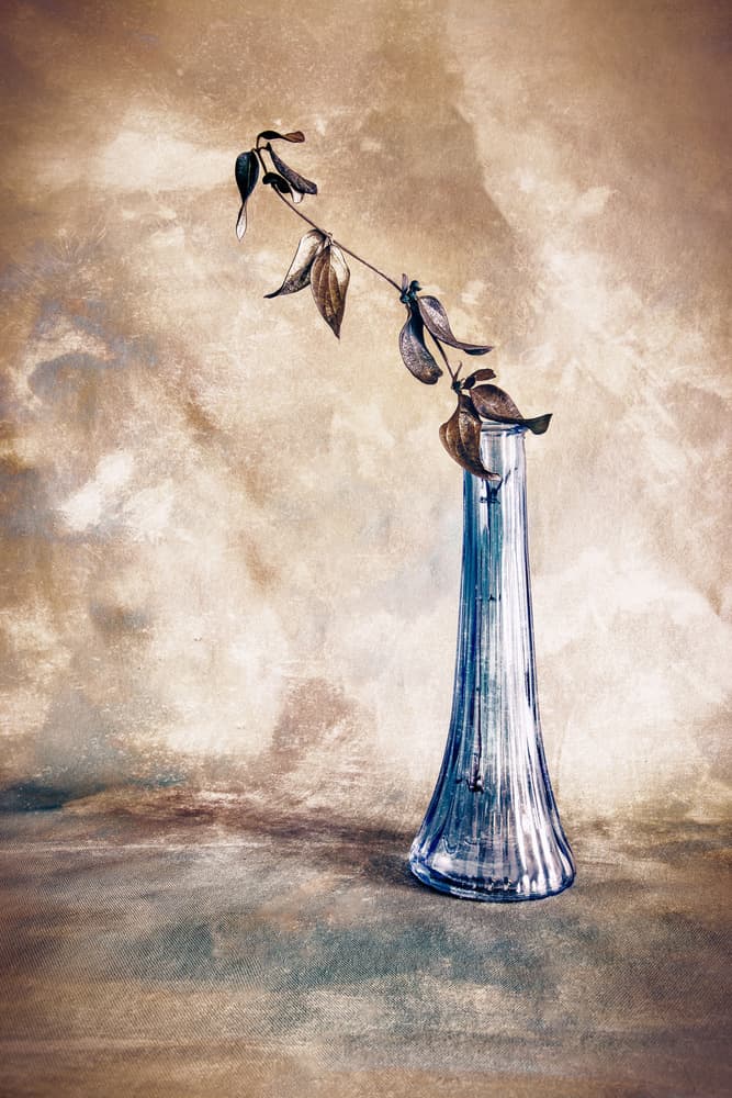 Dried Branch Blue Vase by Cicek Kiral — canvas wall art